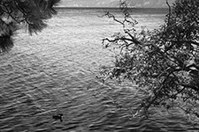 Archival Pigment Print